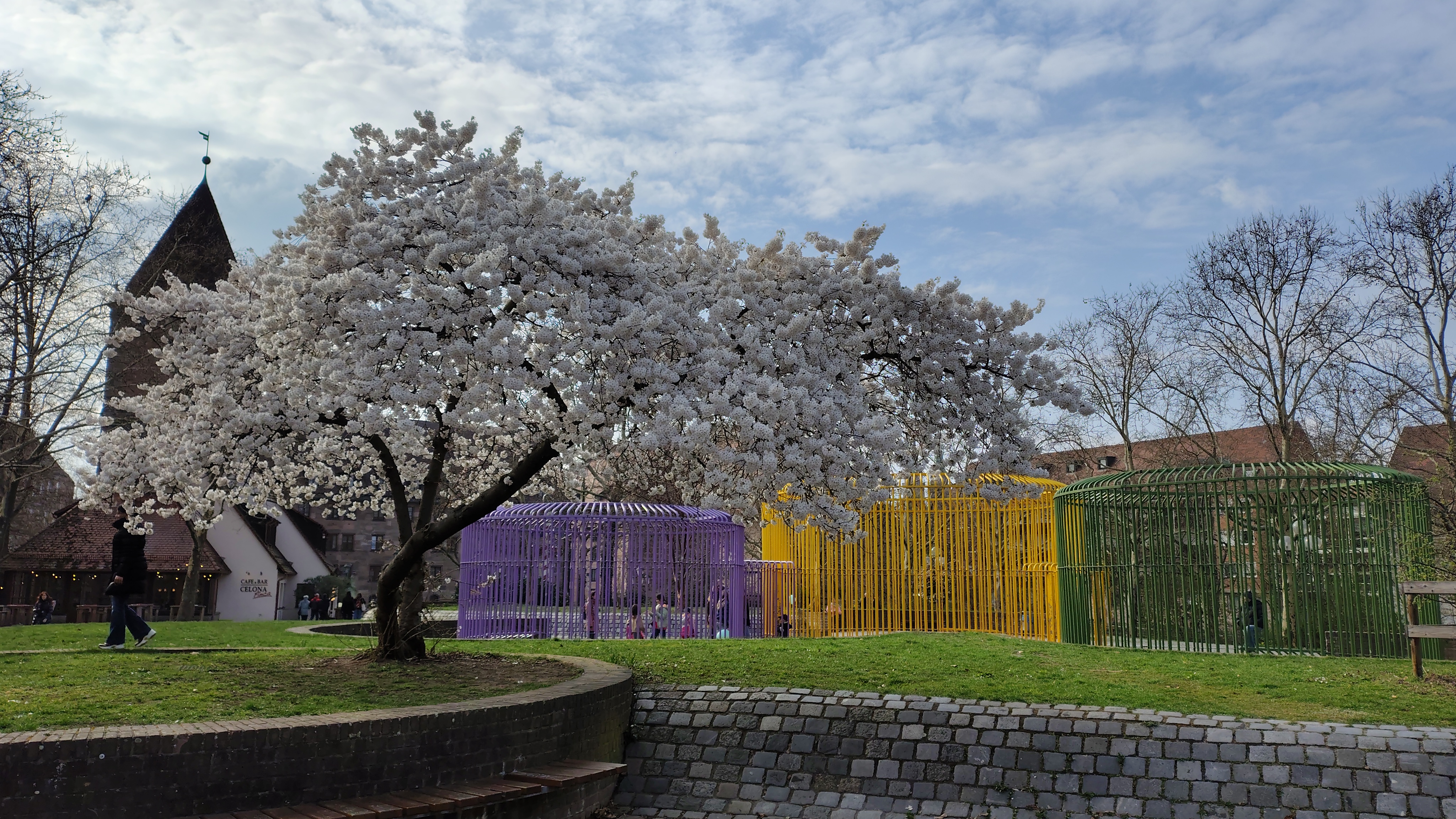 Bunte Tulpen im Nürnberger Stadtpark unter klarem Frühlingshimmel
