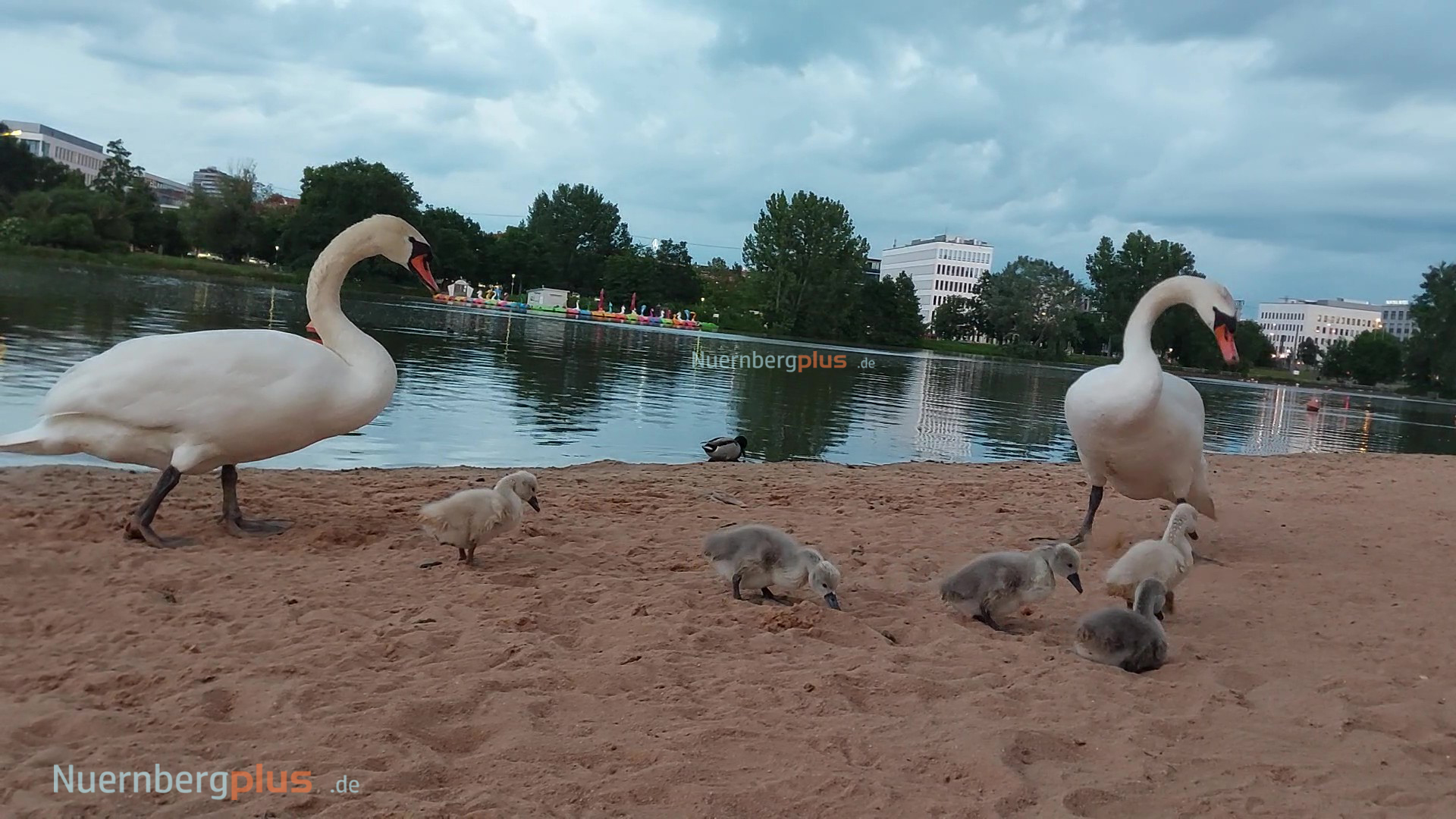 Jahreszeiten Wöhrder See