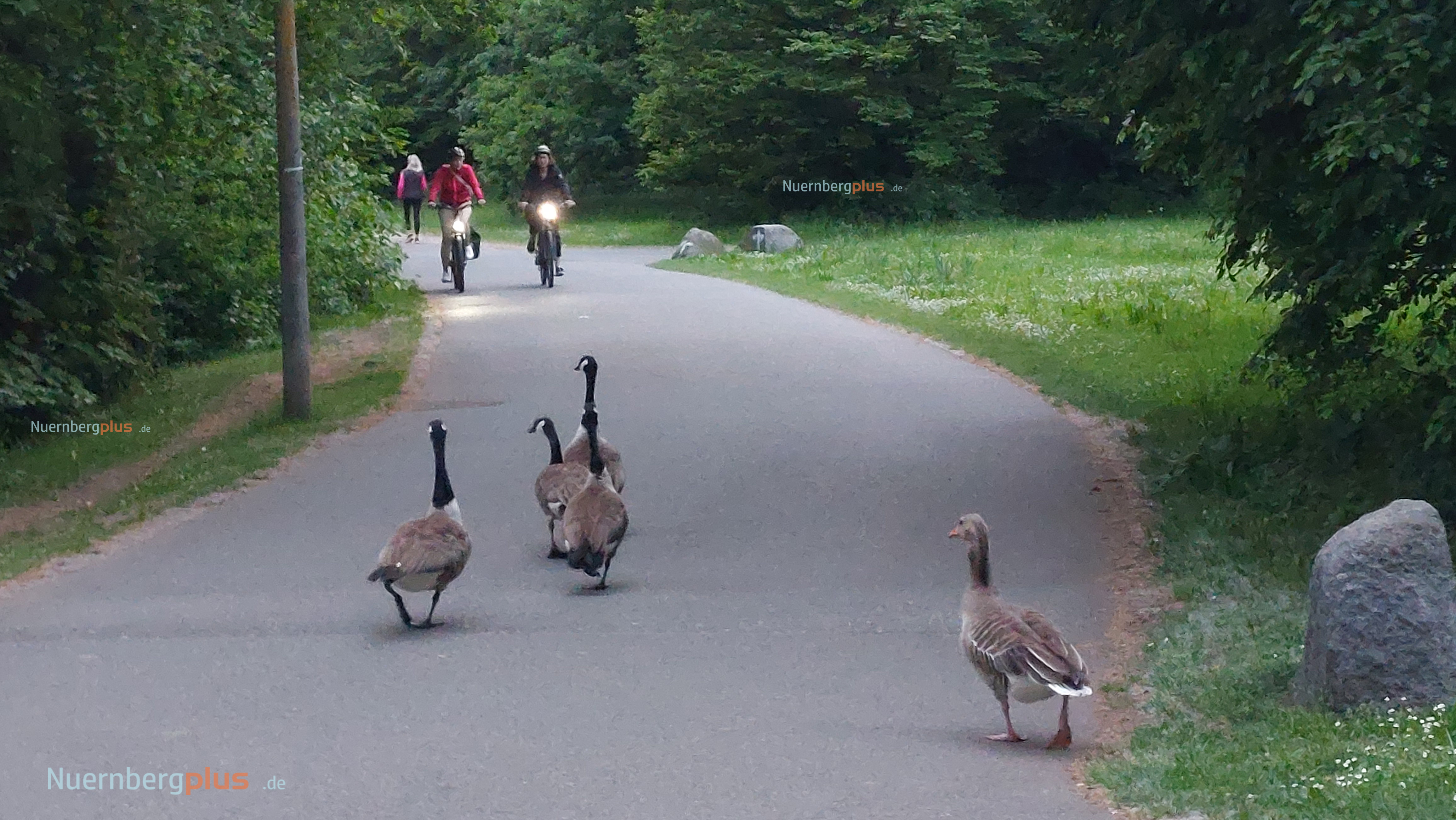 اوقات فراغت Wöhrder See (دریاچه وُردر)